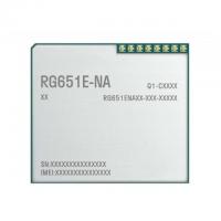 RG651ENA00AA-2G8-SGASA